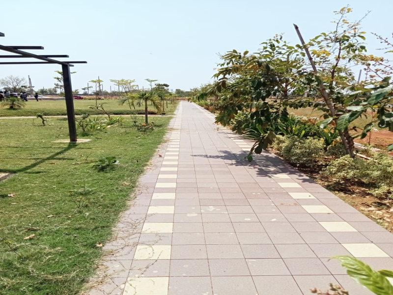  Residential Plot 1186 Sq.ft. for Sale in Boriyakhurd, Raipur