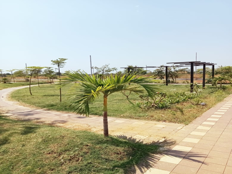  Residential Plot 1097 Sq.ft. for Sale in Boriyakhurd, Raipur