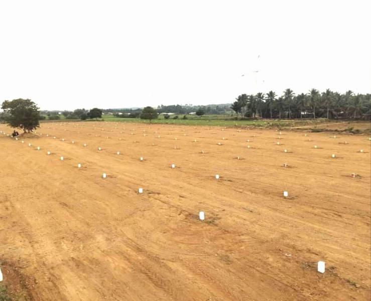  Agricultural Land 655 Sq.ft. for Sale in Chettipalayam, Coimbatore