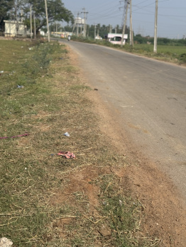  Agricultural Land for Sale in Kadapa, Cuddapah