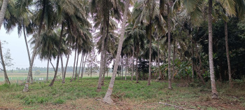  Agricultural Land for Rent in Nanjangud, Mysore