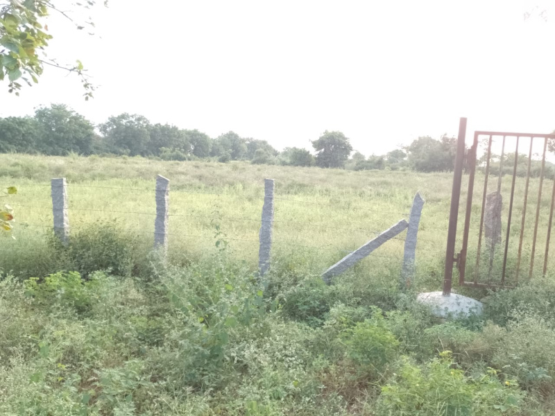  Agricultural Land 10 Acre for Sale in Yacharam Mandal, Hyderabad