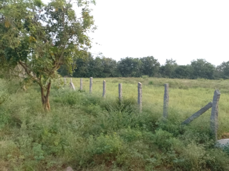  Agricultural Land 10 Acre for Sale in Yacharam Mandal, Hyderabad