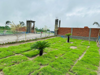  Residential Plot for Sale in Ranidanga, Siliguri