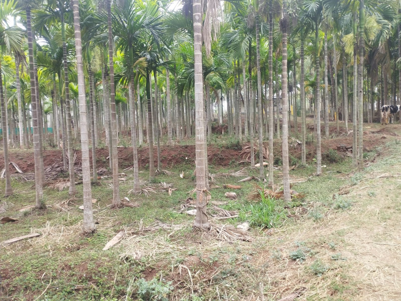  2 Ares Residential Plot for Sale in Attapadi, Palakkad