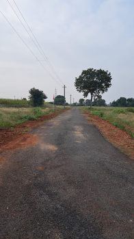  Residential Plot for Sale in Kovilapalayam, Coimbatore