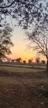  Agricultural Land for Sale in Somani, Rajnandgaon
