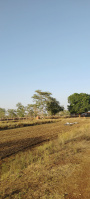  Agricultural Land for Sale in Basantpur, Rajnandgaon