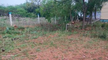  Agricultural Land for Sale in Vaddakkankulam, Tirunelveli