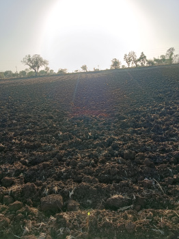  Agricultural Land for Sale in Bhikangaon, Khargone