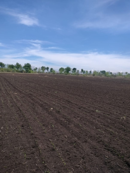  Agricultural Land for Sale in Gogawan, Khargone