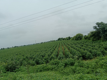  Agricultural Land for Sale in Bhikangaon, Khargone