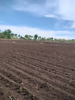  Agricultural Land for Sale in Bhikangaon, Khargone