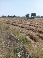  Agricultural Land for Rent in Pilkhuwa, Hapur