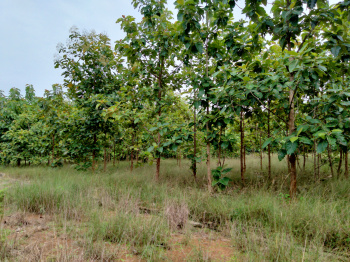  Residential Plot for Sale in Gurla, Vizianagaram