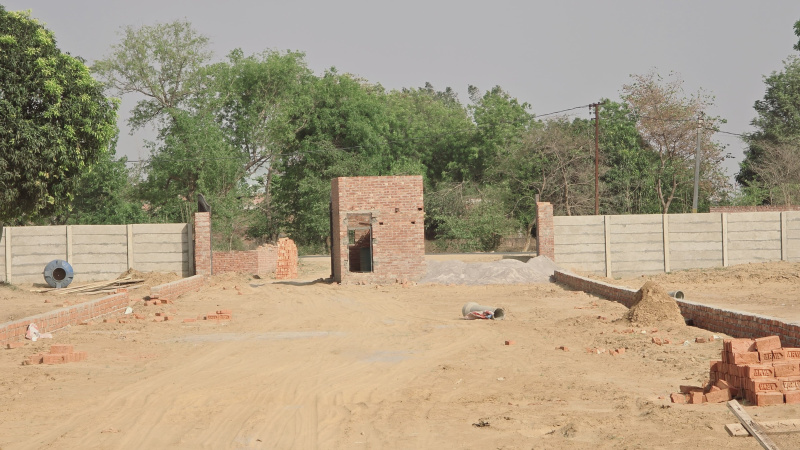  Residential Plot 1000 Sq.ft. for Sale in Rajaji Puram, Lucknow