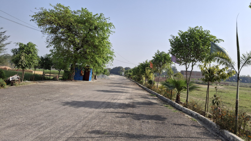  1000 Sq.ft. Residential Plot for Sale in Raibareli Road, Lucknow