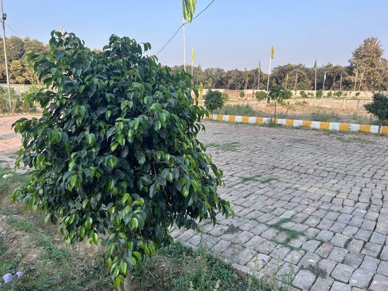  Residential Plot 1000 Sq.ft. for Sale in Dubbaga, Lucknow