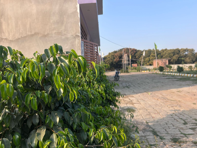  Residential Plot 1000 Sq.ft. for Sale in Dubbaga, Lucknow