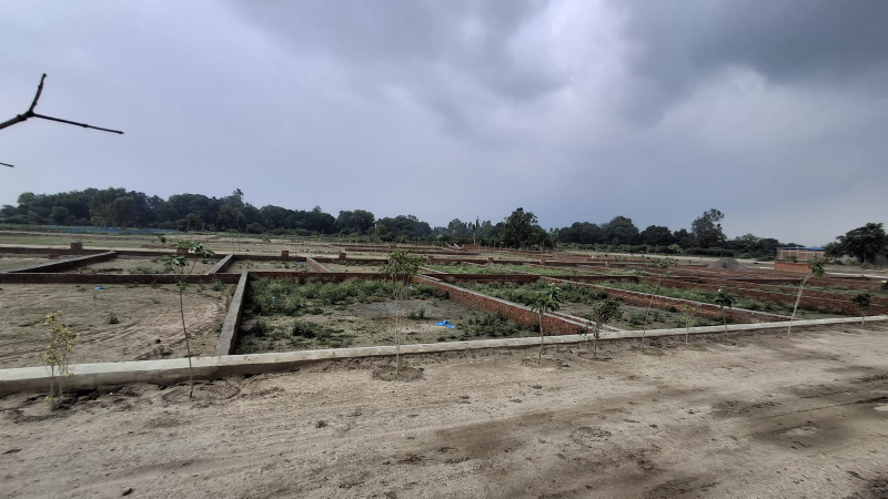 1000 Sq.ft. Residential Plot for Sale in Sultanpur Road, Lucknow