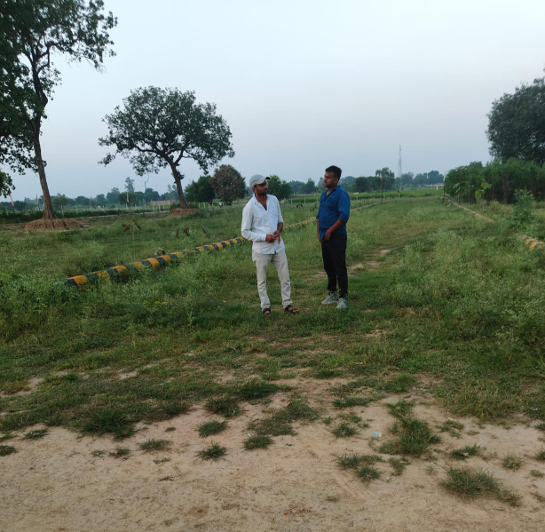  Residential Plot 1000 Sq.ft. for Sale in Sultanpur Road, Lucknow