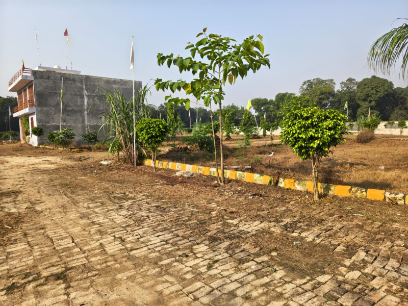  Residential Plot 1000 Sq.ft. for Sale in Sultanpur Road, Lucknow