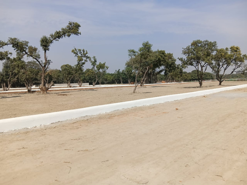  1000 Sq.ft. Residential Plot for Sale in Faizabad Road, Lucknow