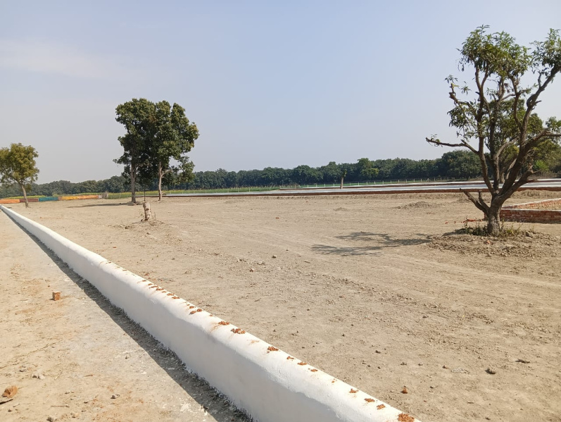  1000 Sq.ft. Residential Plot for Sale in Faizabad Road, Lucknow