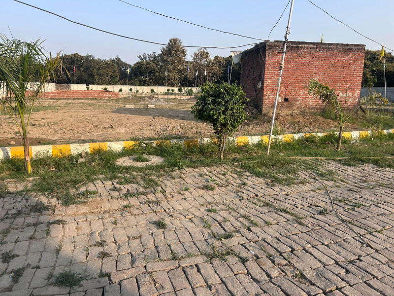  1000 Sq.ft. Residential Plot for Sale in Dubbaga, Lucknow
