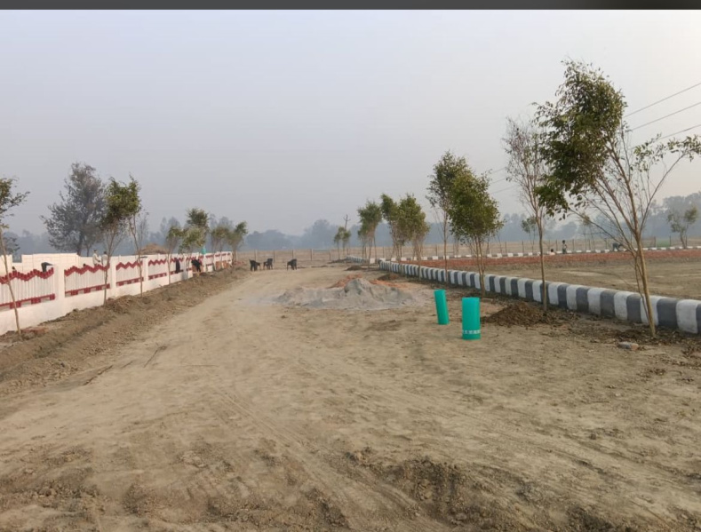  1000 Sq.ft. Commercial Land for Sale in Mohan Road, Lucknow