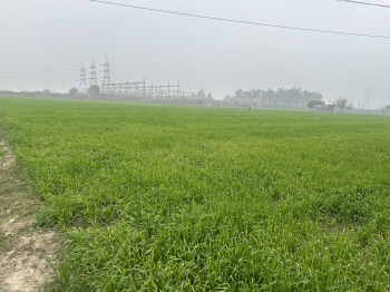  Agricultural Land for Sale in Mohan Nagar, Sonipat