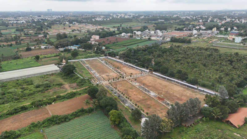  Residential Plot 1200 Sq.ft. for Sale in Anekal, Bangalore