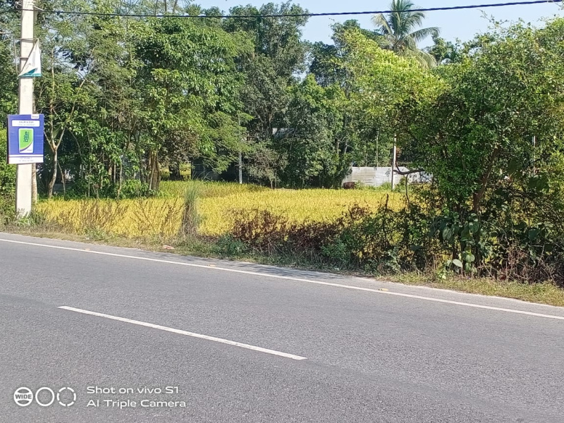  Residential Plot 7200 Sq.ft. for Sale in Dinhata, Cooch Behar