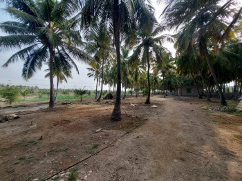  Agricultural Land for Sale in Udumalaipettai, Tirupur