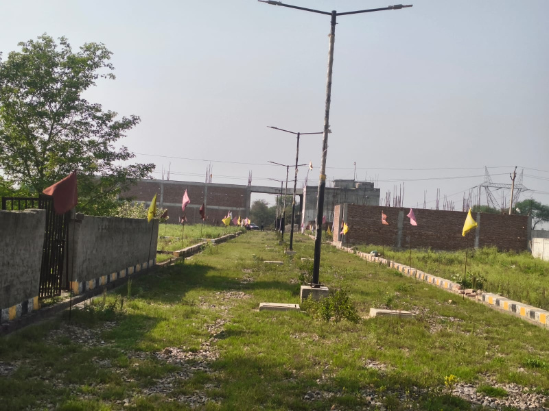  100 Sq. Yards Residential Plot for Sale in Naujhil, Mathura