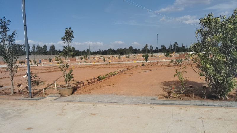  Residential Plot 1500 Sq.ft. for Sale in Chikka Tirupathi, Bangalore