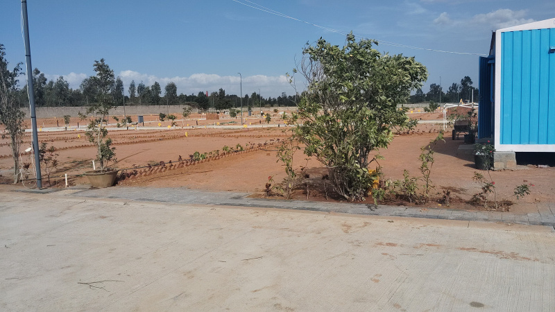  Residential Plot 1500 Sq.ft. for Sale in Chikka Tirupathi, Bangalore