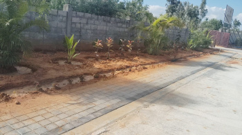  Residential Plot for Sale in Chikka Tirupathi, Bangalore