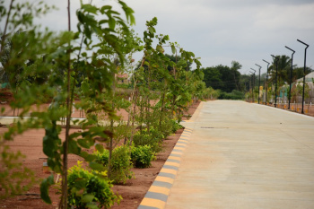  Residential Plot for Sale in Anekal Road, Bangalore