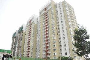 3 BHK Flat for Sale in Ambedkar Layout, Rpc Layout, Bangalore