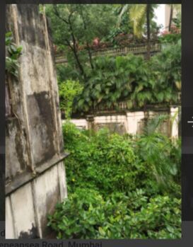  House for Sale in Nepeansea Road, Mumbai