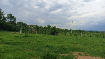 Agricultural Land for Sale in Banchari, Palwal