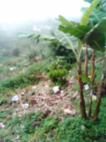  Residential Plot for Sale in Anandagiri, Kodaikanal