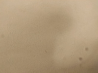 1 RK House for Rent in Pipeline Road, Ahmednagar