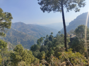  Agricultural Land for Sale in Dharampur, Solan