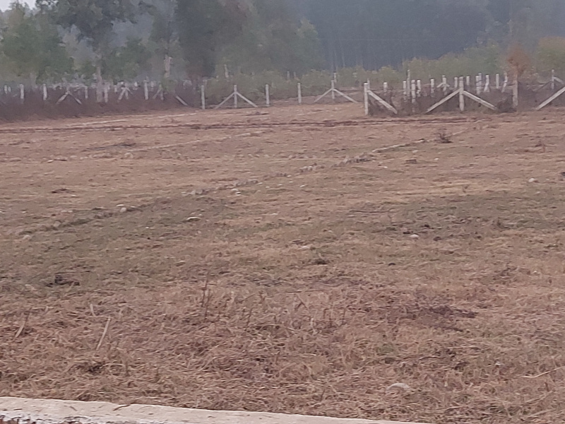  Residential Plot 100 Sq. Yards for Sale in Ganeshpur, Dehradun