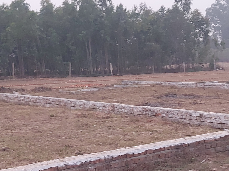  Residential Plot 100 Sq. Yards for Sale in Ganeshpur, Dehradun