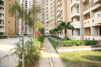 2 BHK Flat for Rent in Sector 143B, Noida, 