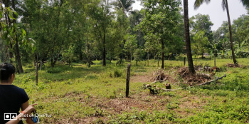  Residential Plot for Sale in Belthangady, Mangalore