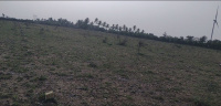  Commercial Land for Sale in Dharapuram, Tirupur